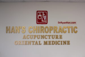 chiropractic acupuncture palatine