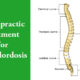 Image of anatomy of the spine