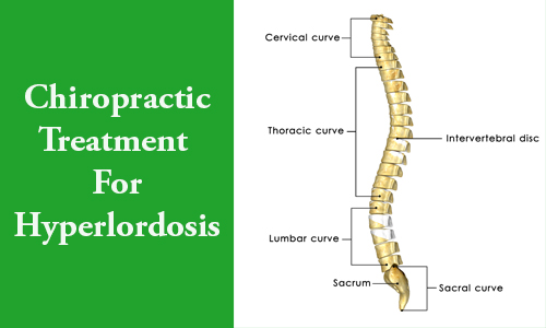 Image of anatomy of the spine