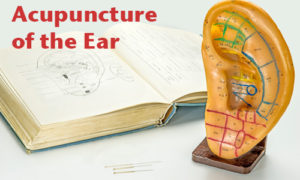 Acupuncture needles, text book and plastic ear