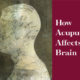 Header image with title How Acupuncture Affects the Brain