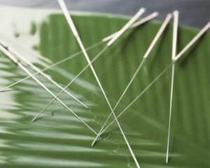 acupuncture needles on a green leaf