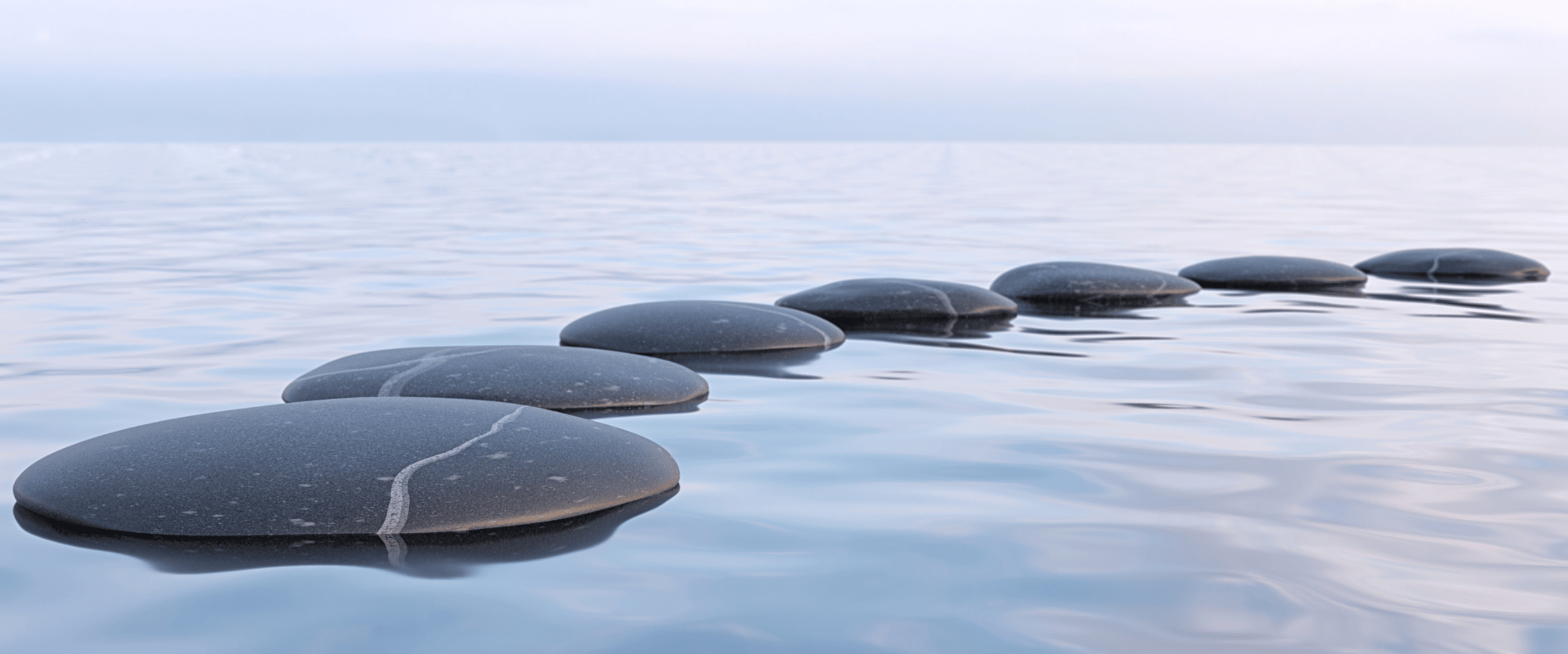 Hans Chiropractic and Functional medicine Palatine IL